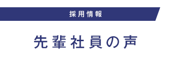 先輩社員の声